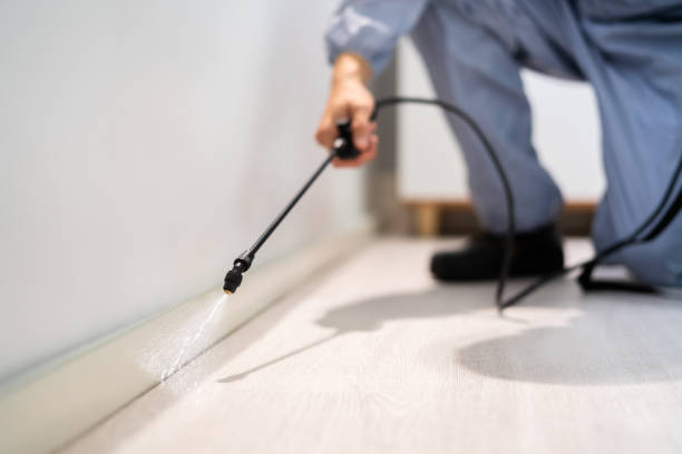 Licensed Termite Control service in Princeton, TX - Show Me Pest Control