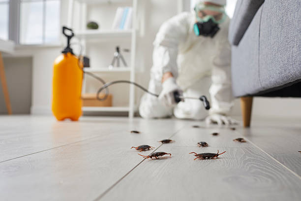 Commercial Rodent Management in Princeton